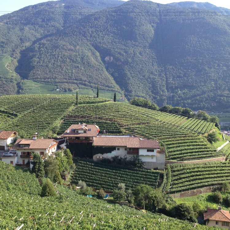 portale immobiliare vitivinicolo e agricolo 