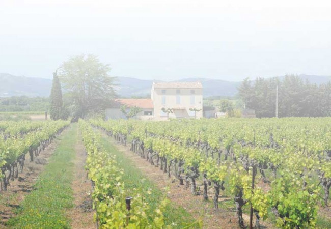 Real estate held Italian wineries