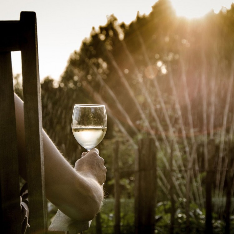 Presentazione per nuovo sito  per portare gente:VinoeNatura