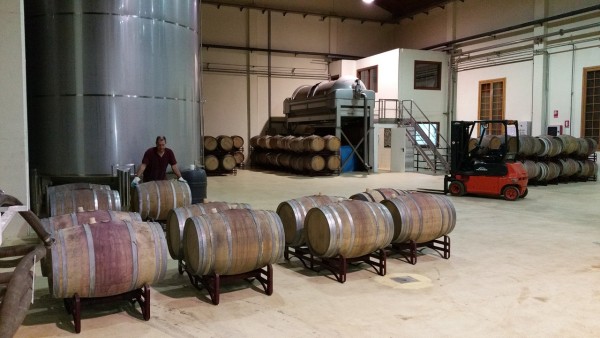 Organizzazione della Cantina anche per il periodo Covid-19