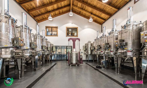 NUOVA SALA DI VINIFICAZIONE PER UVE ROSSE