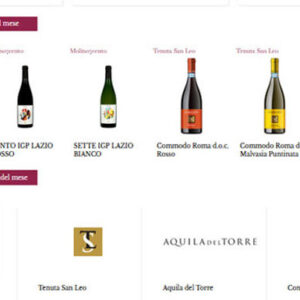 Promuovi i tuoi vini per 6 mesi + newsletter omaggio a soli 399 €!