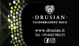 DRUSIAN_Banner_255x150